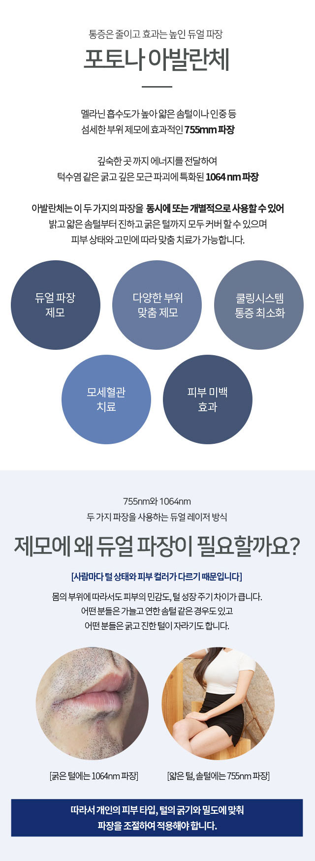 포토나 아발란체